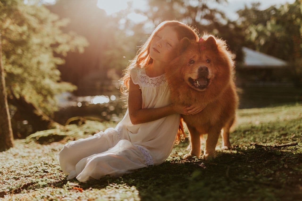 Bringing Your Dog Back Into the US: How to Get Your Pet Across the US Border