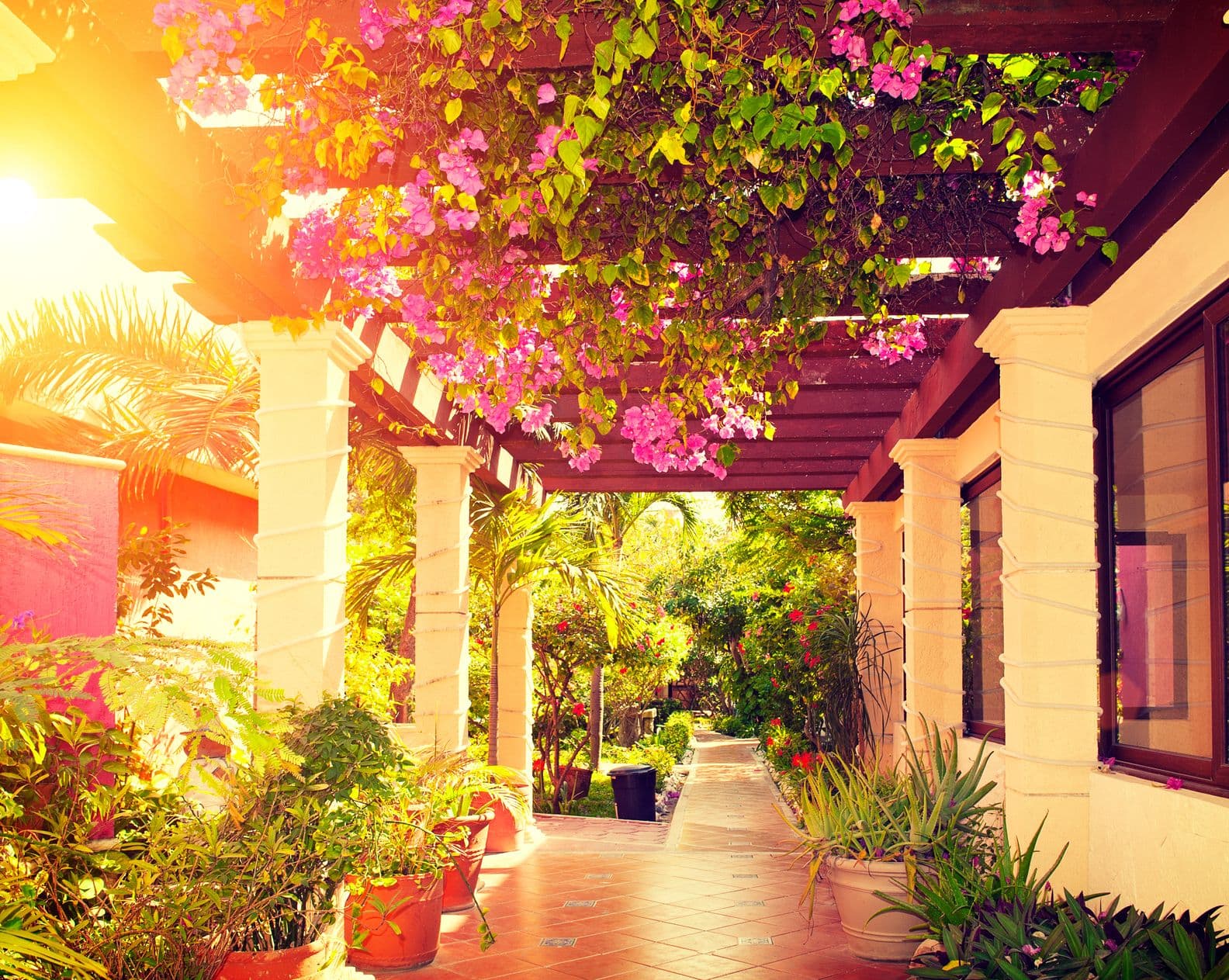 How to Find a Home in San Miguel de Allende to Rent